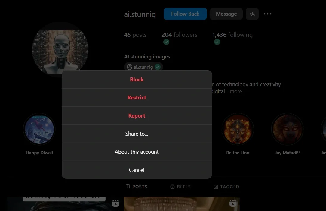 Instagram's 'About This Account' Feature